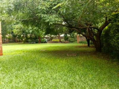 5 Bedroom House for Rent in Runda Mimosa, Nairobi | Gated Community | KSh 600,000 Per Month