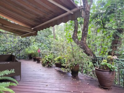 Luxury 4 Bedroom Standalone Villa for Rent in Kyuna, Nairobi | USD 5,000 Per Month