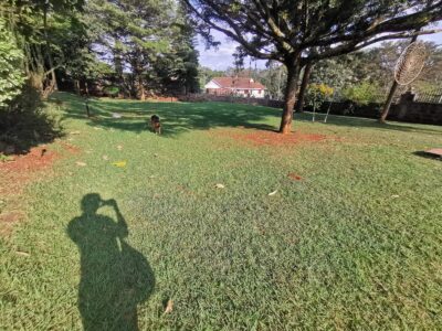 5 Bedroom House for Rent in Kitusuru, Nairobi | Half-Acre Compound | KSh 300,000 Per Month
