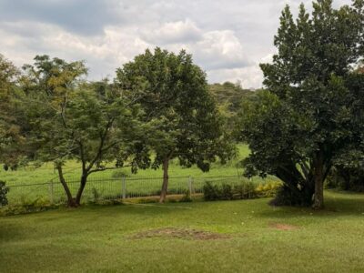 Exclusive 5 Bedroom Riverfront House for Sale in Gigiri, Nairobi | 1 Acre | KSh 250 Million.