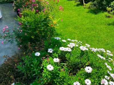 Luxury Furnished 4 Bedroom House for Rent in Kitisuru, Nairobi | USD 5,500 Per Month